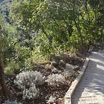 Robinson House Orlandusa Σπίτι διακοπών *
