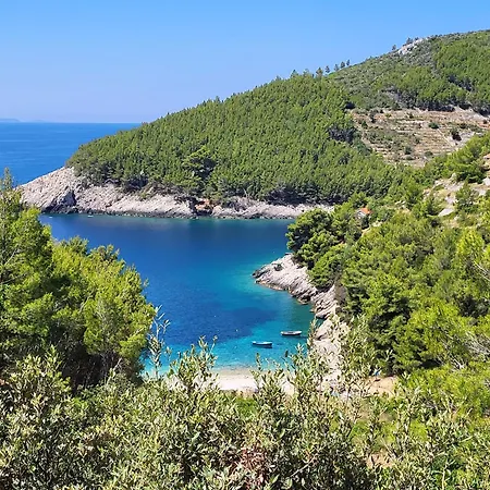 Robinson House Orlandusa