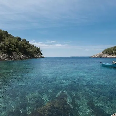 Robinson House Orlandusa Zrnovo