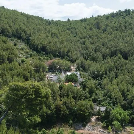 Robinson House Orlandusa *