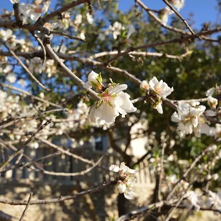 Robinson House Orlandusa Holiday home Zrnovo