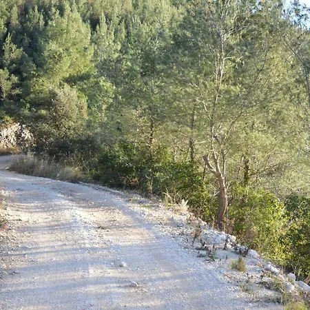 Robinson House Orlandusa