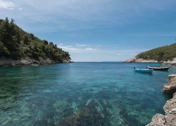 Robinson House Orlandusa Zrnovo