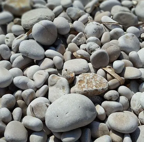 Robinson House Orlandusa 펜션