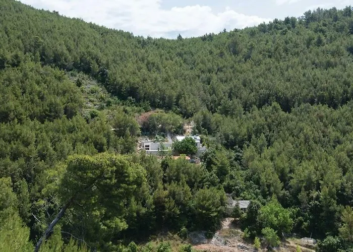 Robinson House Orlandusa *