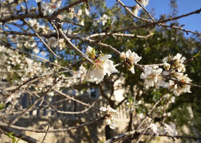 Robinson House Orlandusa 펜션 Zrnovo