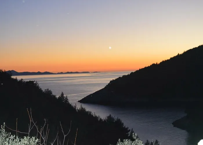 Robinson House Orlandusa 펜션 Zrnovo