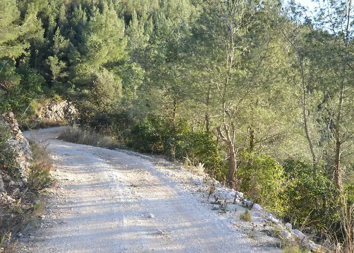 Robinson House Orlandusa